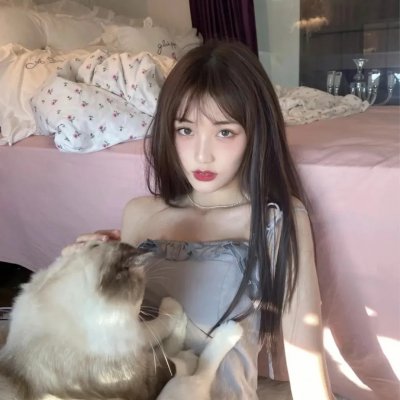 大唐狄公案封面